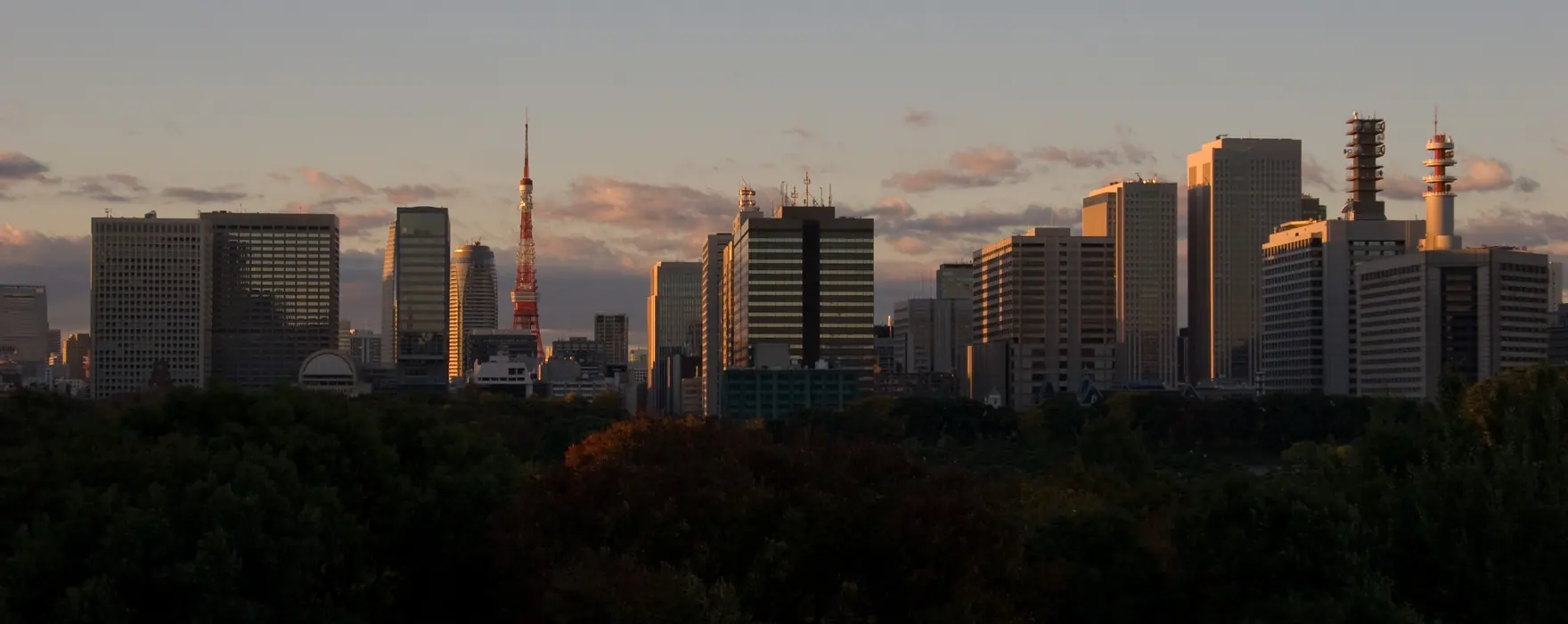 The Tokyo skyline at dawn, seen over the trees of the imperial palace grounds